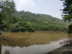 -滴水岩森林公园