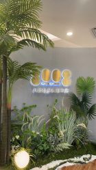 -八佰伴8008星级形象店