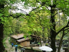 -WeLope紫金山探险公园