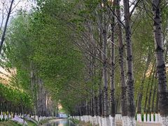 -东郊湿地公园