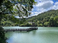 -江西阳明山国家森林公园