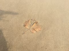 -白沙湾海滩