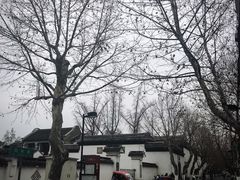 -吴门人家·苏宴宫廷菜(拙政园店)