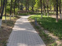 -东郊湿地公园