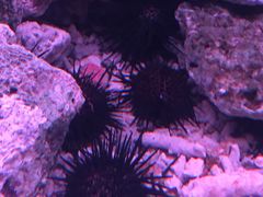 -多彩贵州城极地海洋世界