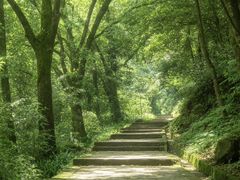 -缙云山景区