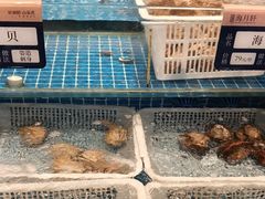 -海月轩海鲜豆捞(紫金塔店)