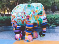 -大望京儿童游乐场