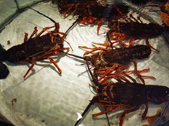 -万龙洲海鲜(大兴绿地缤纷城店)