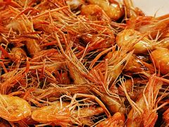 -双塔老饭店