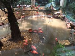 picture-麒麟中餐厅·经典粤菜·地道菜式老字号(广州长隆酒店)