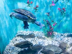 -常州海昌海洋探索馆