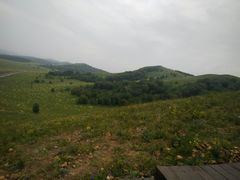 -塞罕坝国家级自然保护区