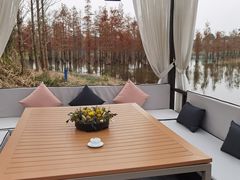 -白鹭湾湿地公园