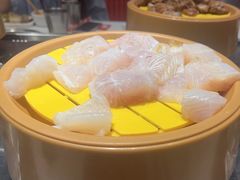 -龍歌自助小火锅(漳州二路爱购店)