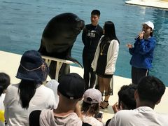 -秦皇岛乐岛海洋王国