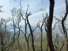 -紫金山山顶公园