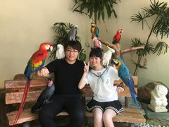 -吉隆坡雀鸟公园