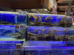 -大润发(南湖店)