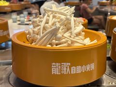 -龍歌自助小火锅(市北台东利群店)