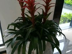 -咸宁万豪温泉谷度假区