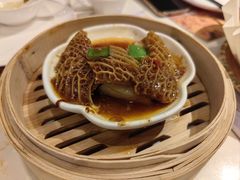 -点都德·毕德寮