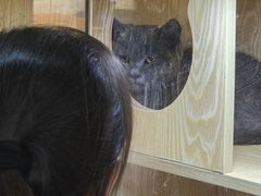 -平行世界·猫咖(首经贸店)