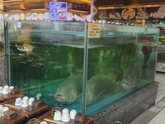 -聚福宝合苑食府(南头镇店)