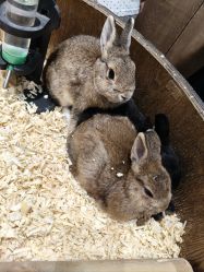 -Zoolung Zoolung动物主题公园(海信广场店)