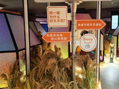 -山水温泉