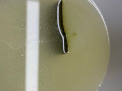 -至潮餐厅精致粤菜·活鲈鱼·走地鸡(珠江新城店)