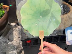 -淮扬府·游园京梦(北京SKP店)