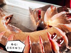 -姥家大锅台水库渔家