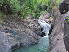 -广州白江湖森林公园