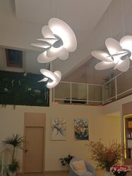 -百秀名媛纹绣美学护肤中心