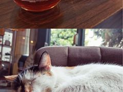 -微饮cafe