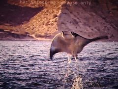 -广东科学中心科技影院