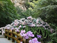 -少华山国家森林公园