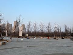 -永定河休闲森林公园