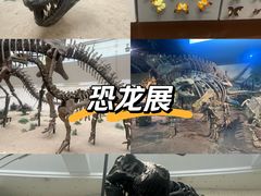 -天津自然博物馆
