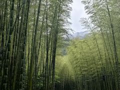 -黄公望隐居地