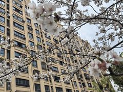 -高东镇樱花园