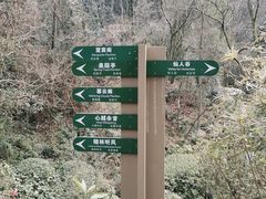 -杭州半山国家森林公园