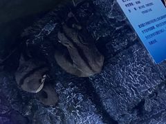-正佳极地海洋世界
