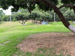 -红花山公园