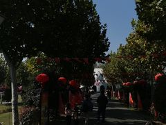 -扬州天乐湖嬉乐谷