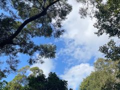 -深圳仙湖植物园