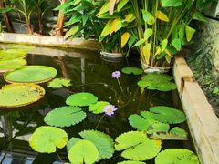 -国家植物园南园