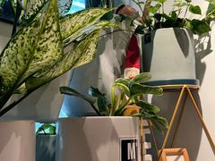 -懒人盐府人家(航天桥店)