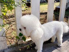 -西昌邛海宾馆